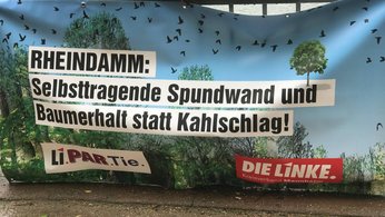 Im neuen Landesvorstand aus Mannheim Tanja Hilton, Jori Fesser und Gökay Akbulut