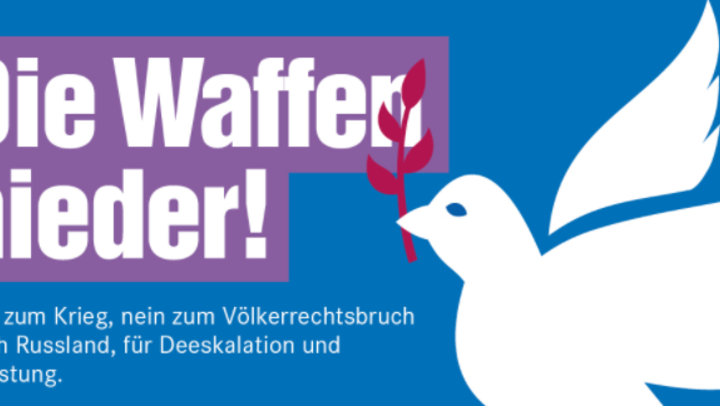 Die_Waffen_nieder.PNG