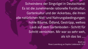 zitat_von_irmgard.png