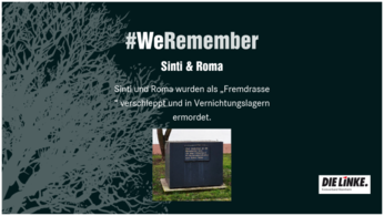 webbseitewerem2.png