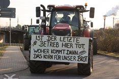 Kommunalinfo Mannheim