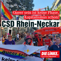 csd_2022.png