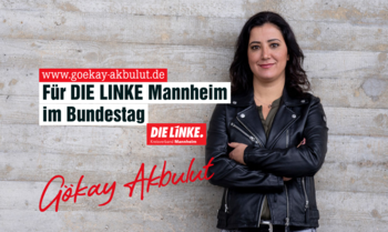 Zur Webseite von Gökay Akbulut